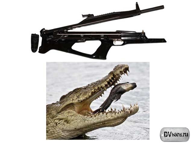 Крокодил - Сленг